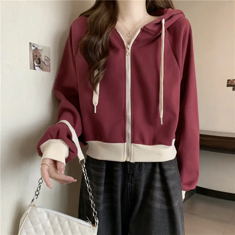Femme Spring Autumn Korean Fas - Summer Clothing Drawing 评论和价格